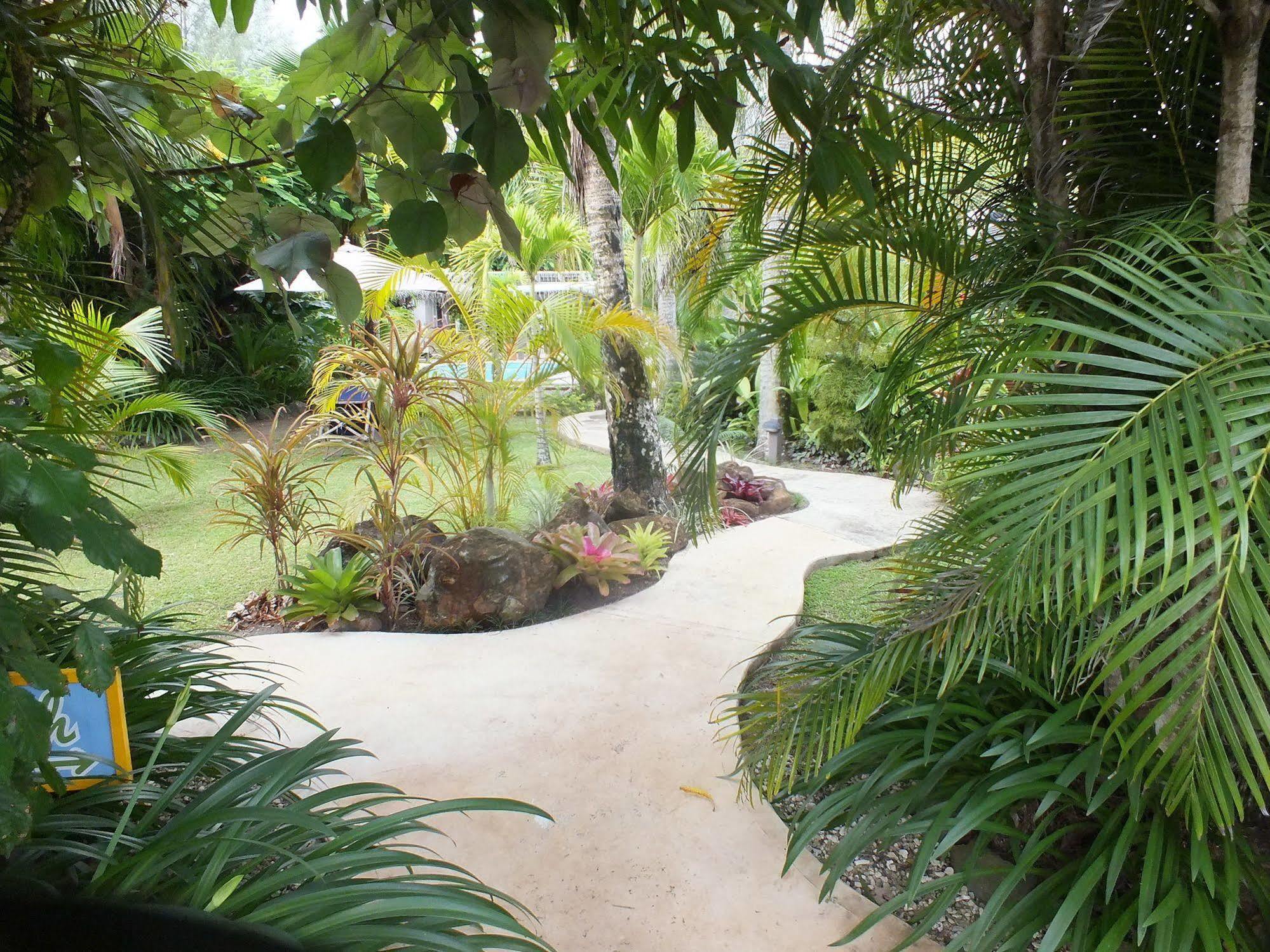 Rarotonga Daydreamer Escape Luaran gambar